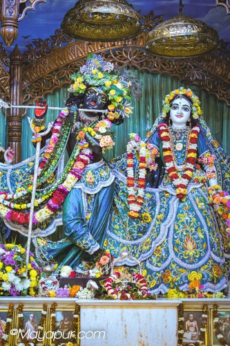 Daily Darshan
