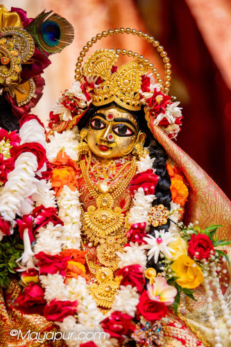Daily Darshan