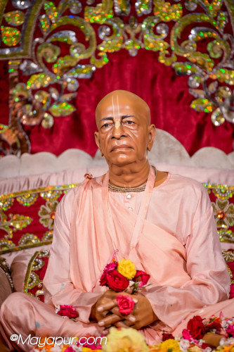 Daily Darshan