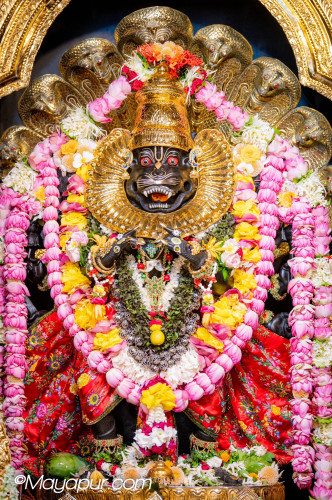 Daily Darshan