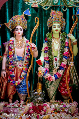 Daily Darshan