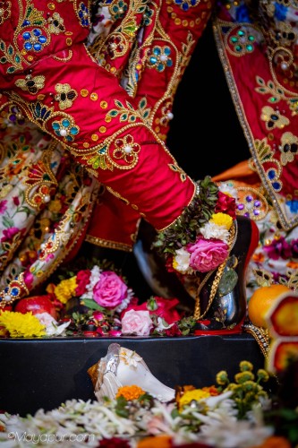 Daily Darshan
