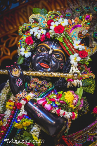 Daily Darshna