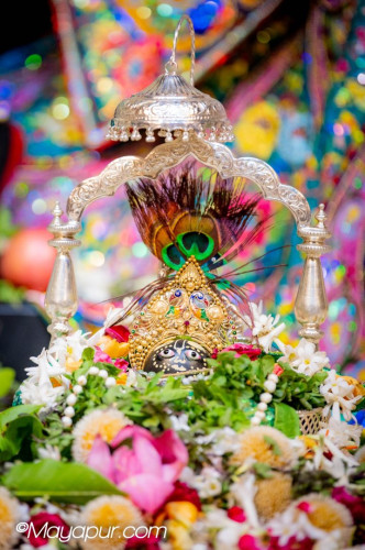 Daily Darshan