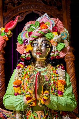 Daily Darshan