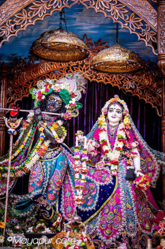 Daily Darshan
