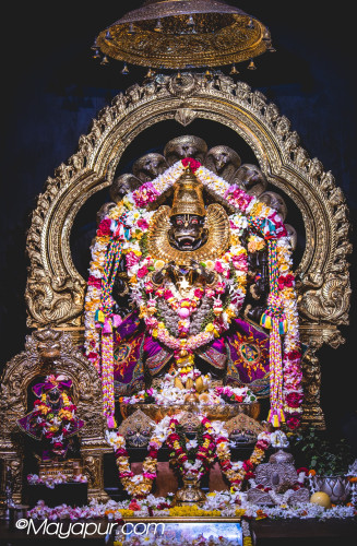 Daily Darshan