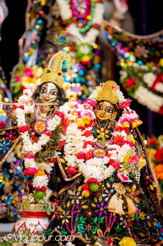 Daily Darshan