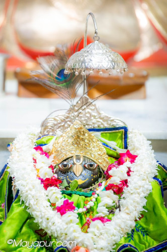 Daily Darshan
