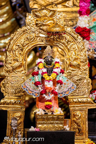 Daily Darshan