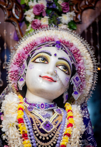 Daily Darshan