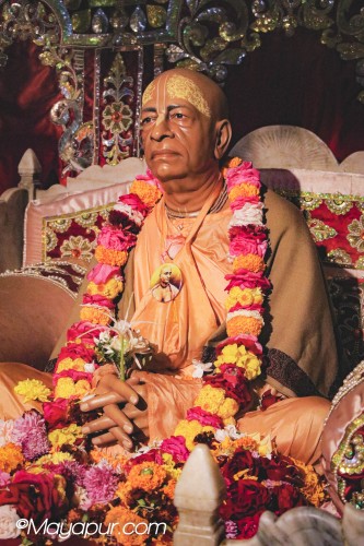 Daily Darshan