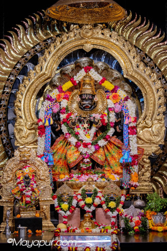 Daily Darshan