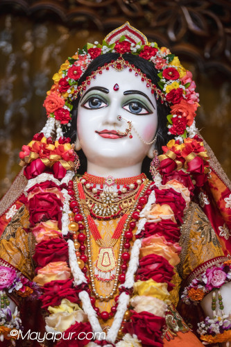 Daily Darshan