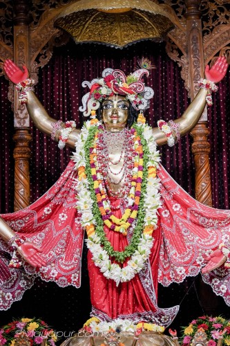 Daily Darshan