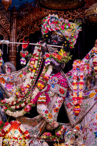 Daily Darshan