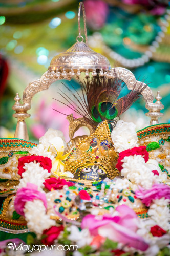 Daily Darshan
