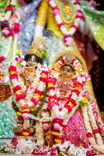 Daily Darshan