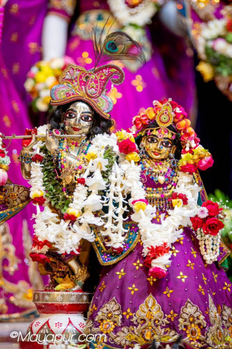 Daily Darshan