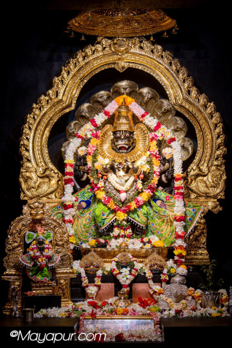 Daily Darshan