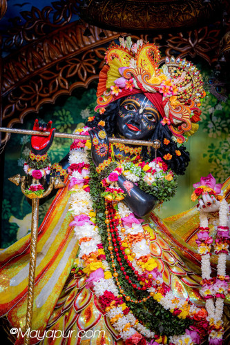 Daily Darshan