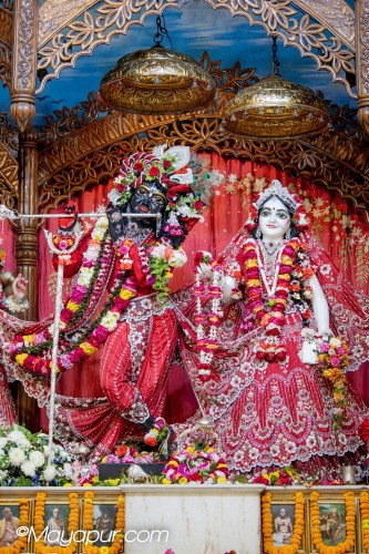 Daily Darshan