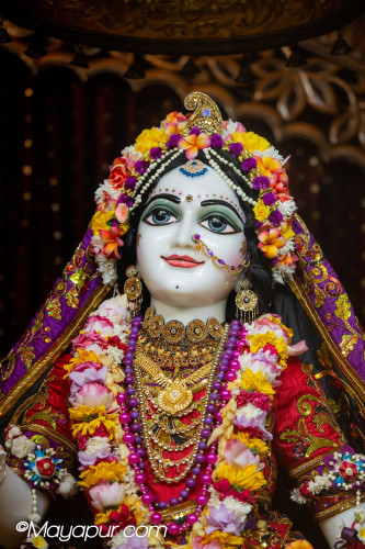 Daily Darshan