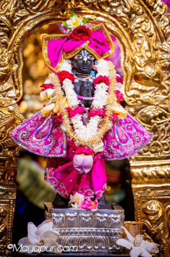 Daily Darshan