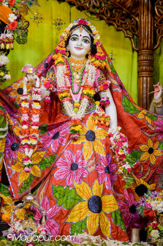 Daily Darshan