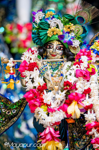 Daily Darshan