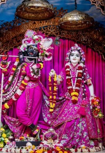 Daily Darshan