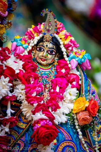 Daily Darshan