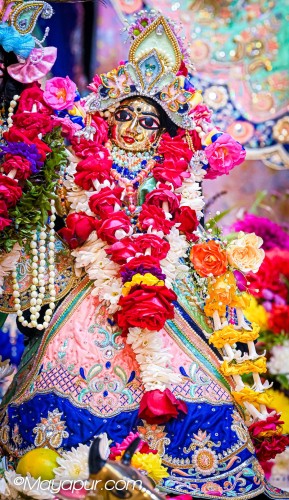 Daily Darshan