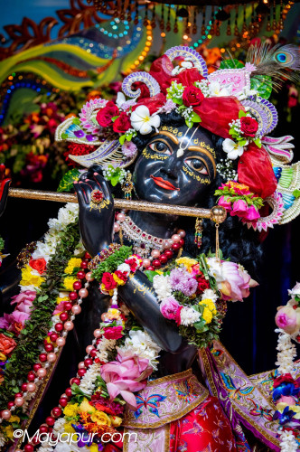 Daily Darshan
