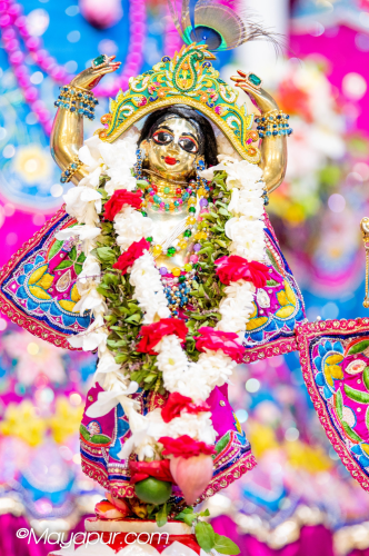 Daily Darshan