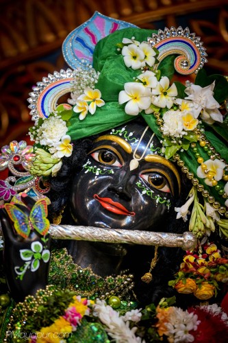 Daily Darshan