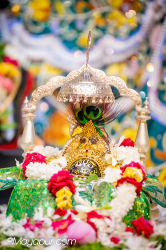 Daily Darshan