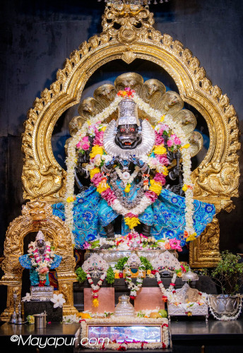 Daily Darshan