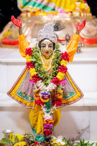 Daily Darshan