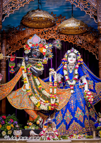 Daily Darshan