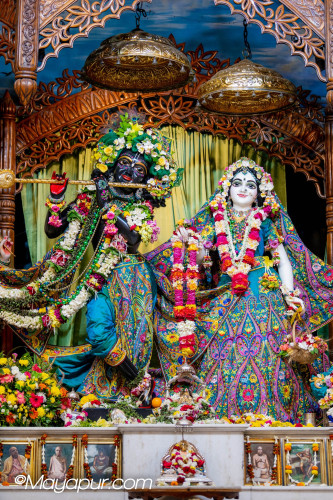 Daily Darshan