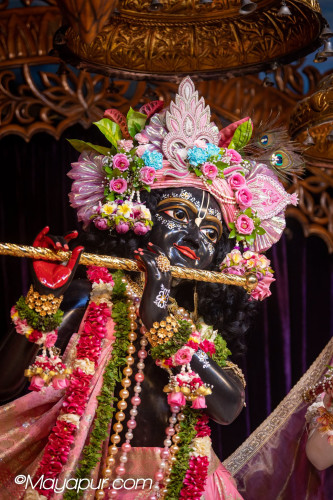 Daily Darshan
