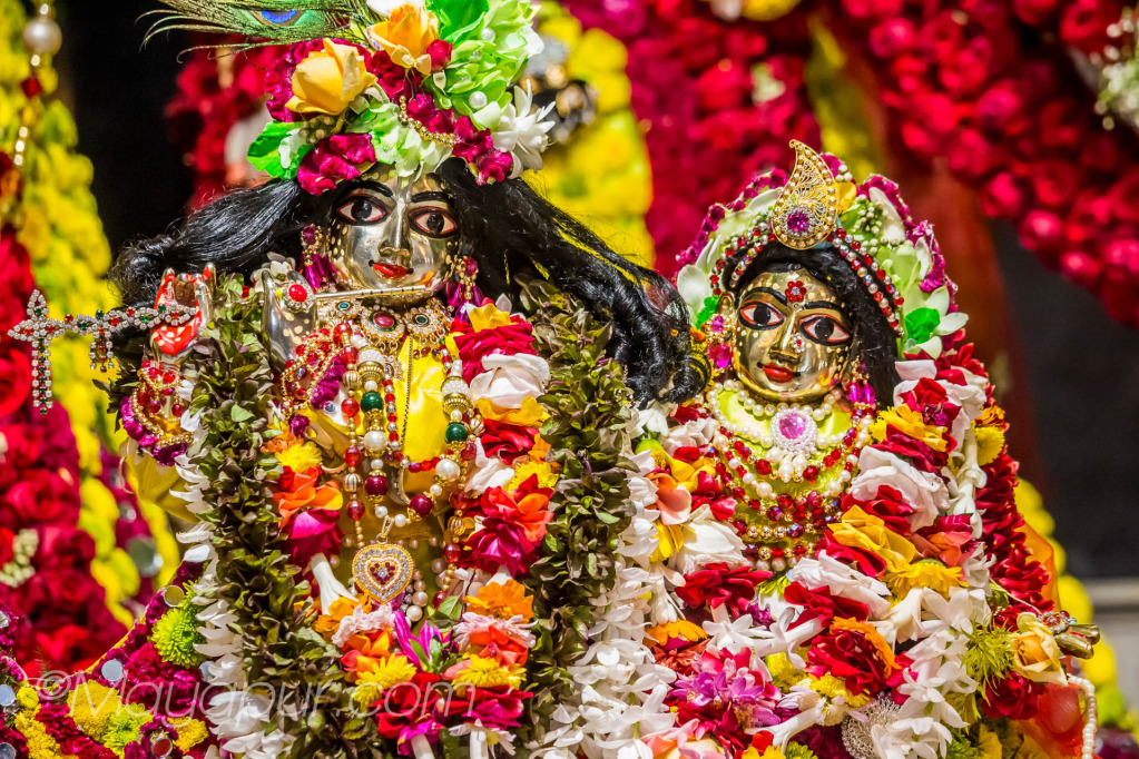 Sri Radha Madhava Flower Outfits Darshan